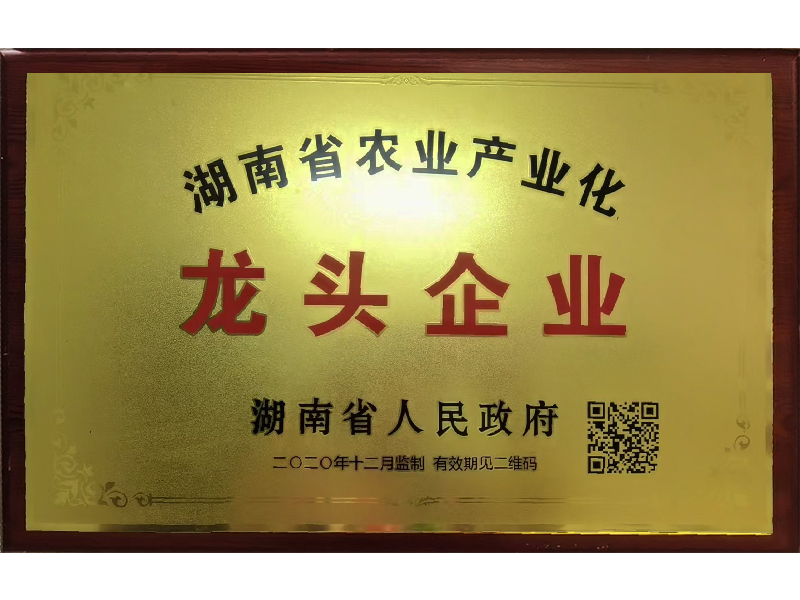 岳陽市漁之源食品有限公司,岳港漁都,洞庭魚港,散稱系列,田螺系列,臭豆腐加工，香豆腐加工，烤脖加工，魚仔,鴨排加工、雞丁加工代加工